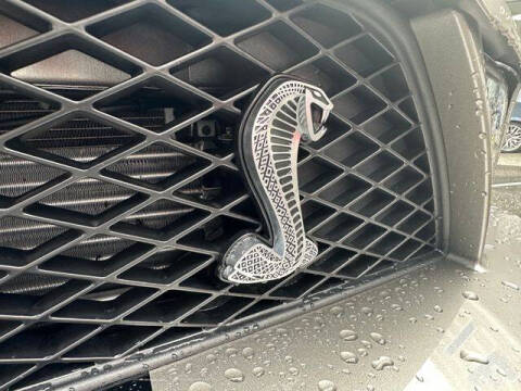 2009 Ford Shelby GT500