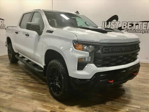 2023 Chevrolet Silverado 1500 for sale at Cole Chevy Pre-Owned in Bluefield WV