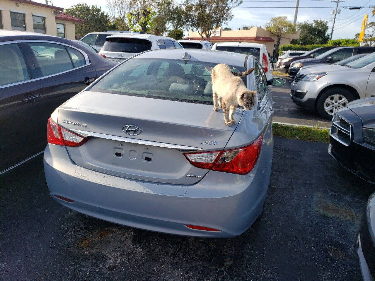 2012 HYUNDAI Sonata Sedan - $6,995