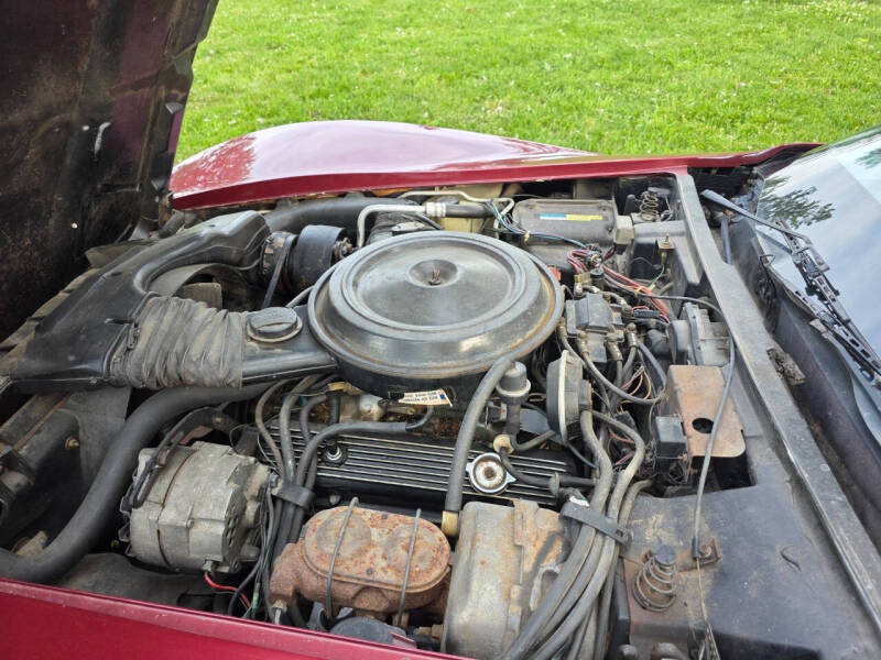 1981 Chevrolet Corvette