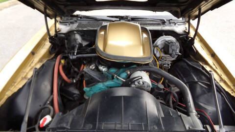 1979 Pontiac Firebird Trans Am