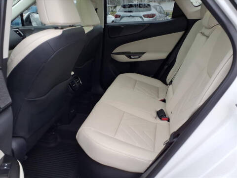 2025 Lexus NX 350h Luxury