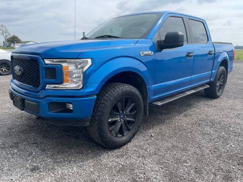 2019 Ford F-150 for sale at Ada Truck Sales in Ada OH