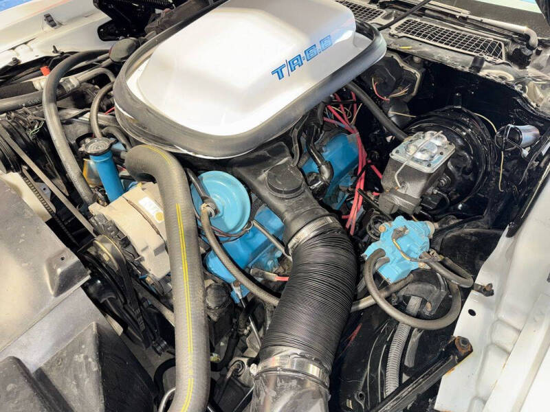 1979 Pontiac Trans Am