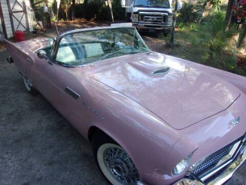 1957 Ford Thunderbird for sale at Classic Car Deals in Cadillac MI
