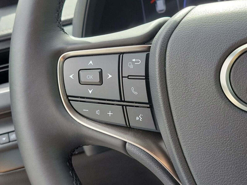2025 Lexus UX 300h