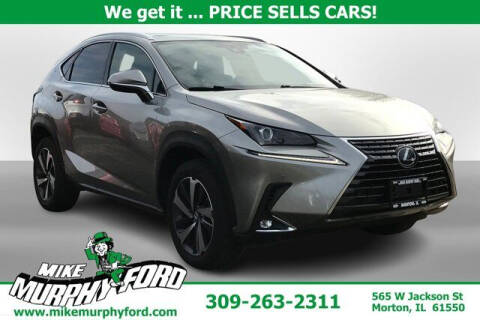 2020 Lexus NX 300 for sale at Mike Murphy Ford in Morton IL