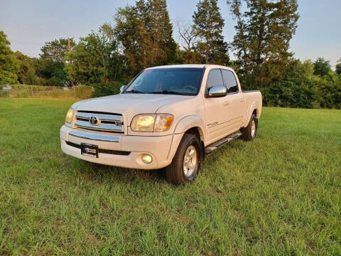 2005 Toyota Tundra for sale at LA PULGA DE AUTOS in Dallas TX