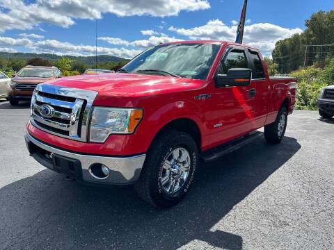 2011 Ford F-150 for sale at Pine Grove Auto Sales LLC in Russell PA