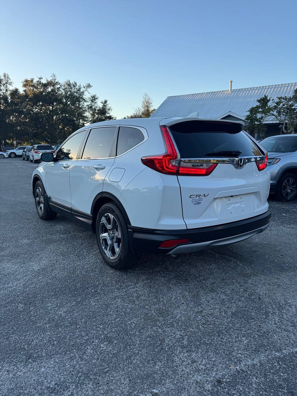 2019 Honda CR-V for sale at GRACELAND AUTO LLC in Thonotosassa, FL