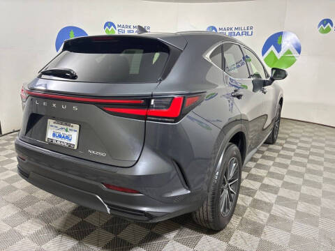 2024 Lexus NX 250