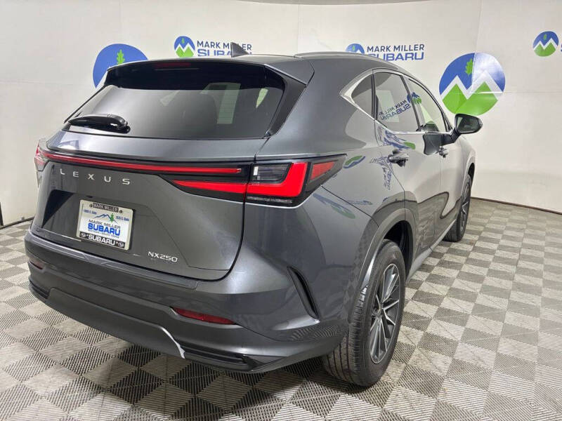 2024 Lexus NX 250