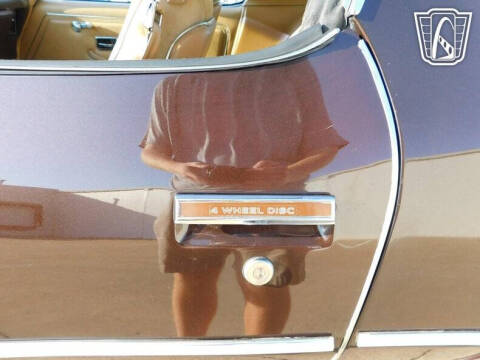 1981 Pontiac Firebird Trans Am