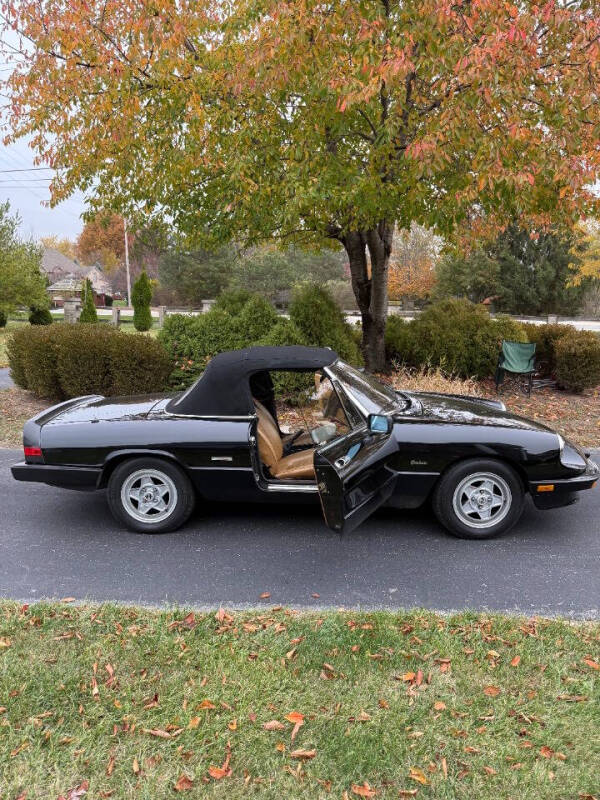 1988 Alfa Romeo Spider Graduate