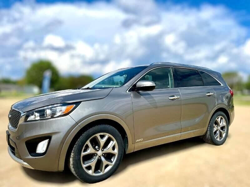 2017 Kia Sorento for sale at Top Gear Auto Sales LLC in Le Roy, MN