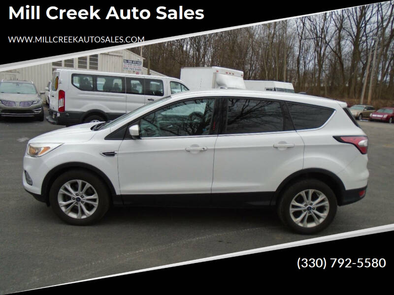 2017 Ford Escape for sale at Mill Creek Auto Sales in Youngstown OH