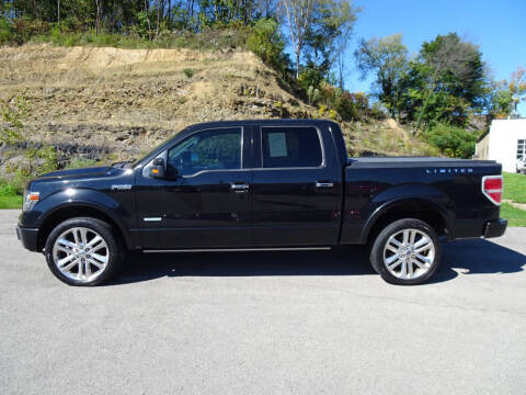 2014 Ford F-150 for sale at LYNDORA AUTO SALES in Lyndora PA