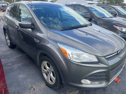 2014 Ford Escape for sale at HEDGES USED CARS in Carleton MI