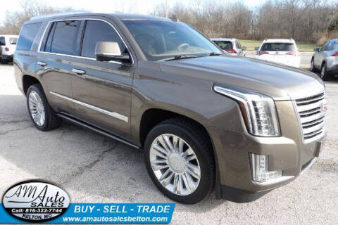 2015 Cadillac Escalade Platinum