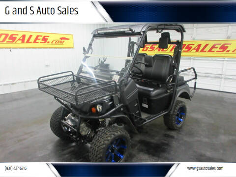 2017 Bad Boy BUGGY