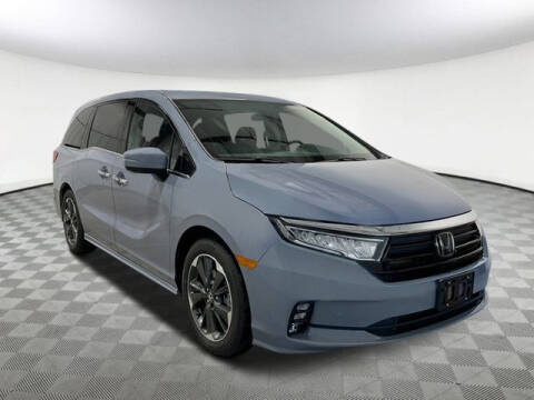 2024 Honda Odyssey for sale at DIAMOND VALLEY HONDA in Hemet CA