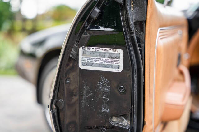 1979 Pontiac Firebird