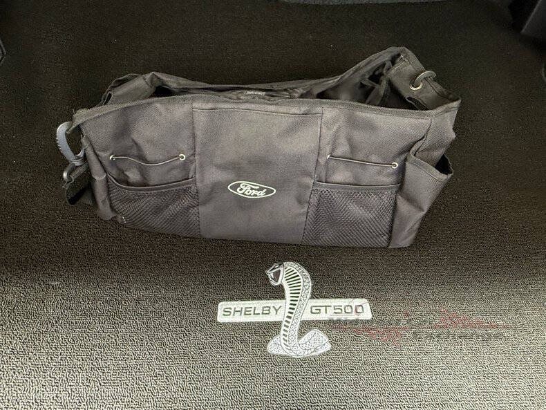 2010 Ford Shelby GT500