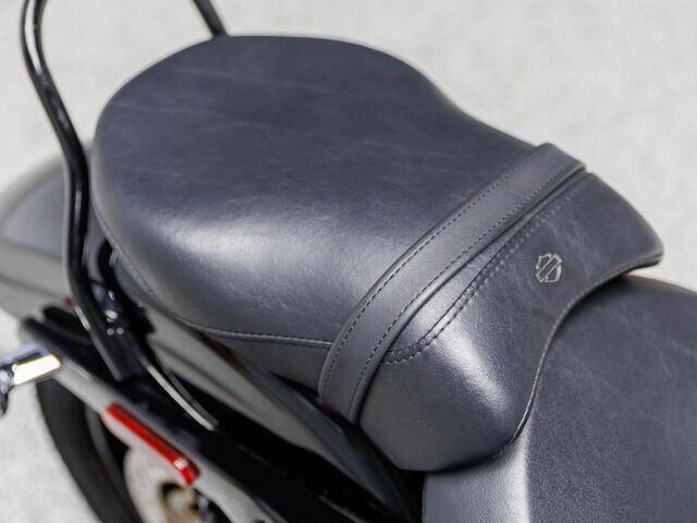 2010 Harley-Davidson Dyna