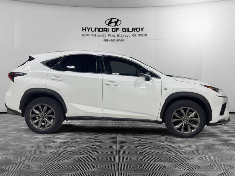 2019 Lexus NX 300 F SPORT