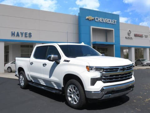2023 Chevrolet Silverado 1500 for sale at HAYES CHEVROLET Buick GMC Cadillac Inc in Alto GA