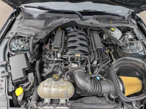 2019 Ford Mustang BULLITT