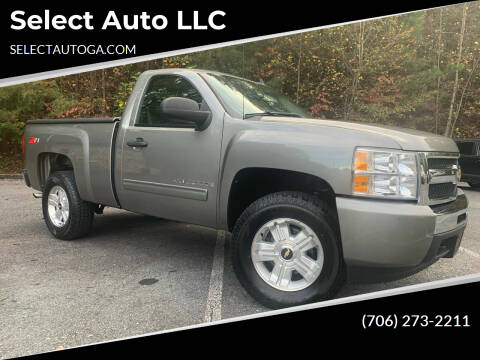 2009 Chevrolet Silverado 1500 for sale at Select Auto LLC in Ellijay GA