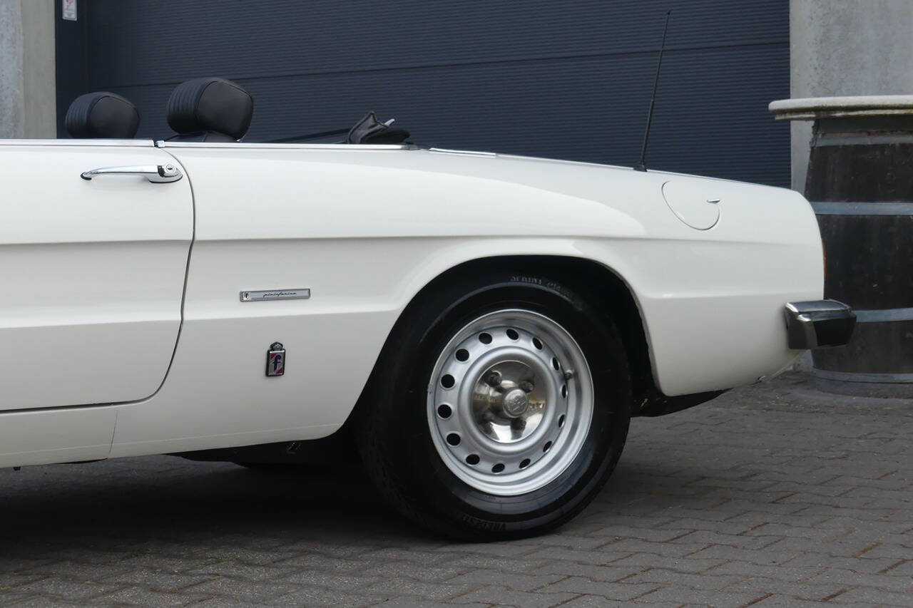 1977 Alfa Romeo Spider for sale at Flemingstoke in Costa Mesa, CA