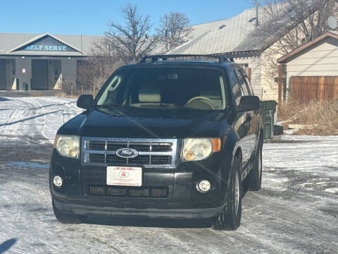 2011 Ford Escape XLT
