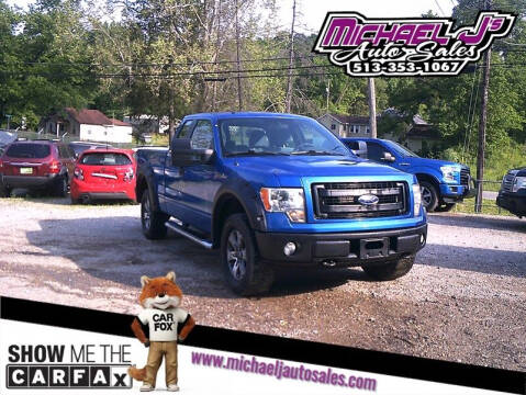 2013 Ford F-150 for sale at MICHAEL J'S AUTO SALES in Cleves OH