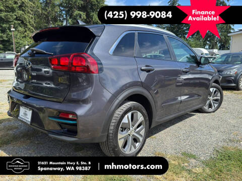 2019 Kia Niro EV EX