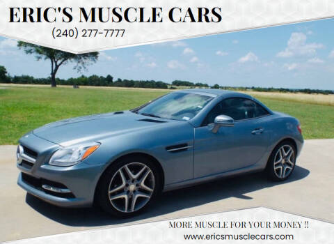 2013 Mercedes-Benz SLK for sale at Eric's Muscle Cars in Clarksburg MD