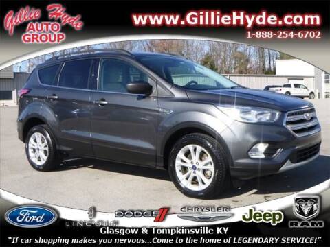 2018 Ford Escape for sale at Gillie Hyde Auto Group in Glasgow KY