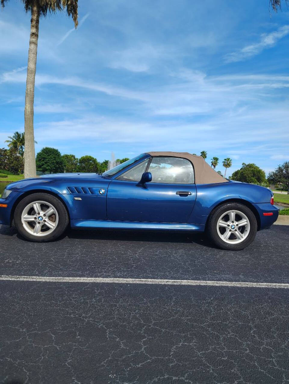 2001 BMW Z3 for sale at Amatrudi Motor Sports in Fort Pierce, FL