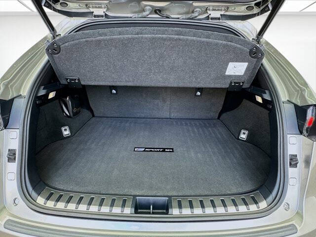 2020 Lexus NX 300 F SPORT