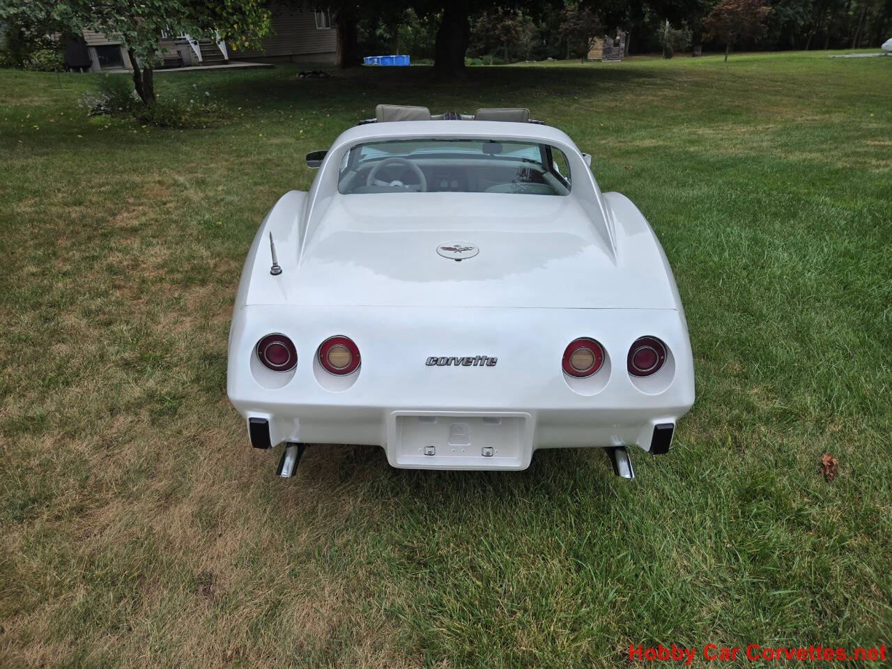 1977 Chevrolet Corvette 11