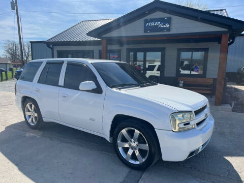2006 Chevrolet TrailBlazer for sale at Fesler Auto in Pendleton IN