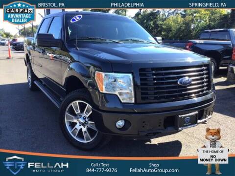 2014 Ford F-150 for sale at Fellah Auto Group in Philadelphia PA