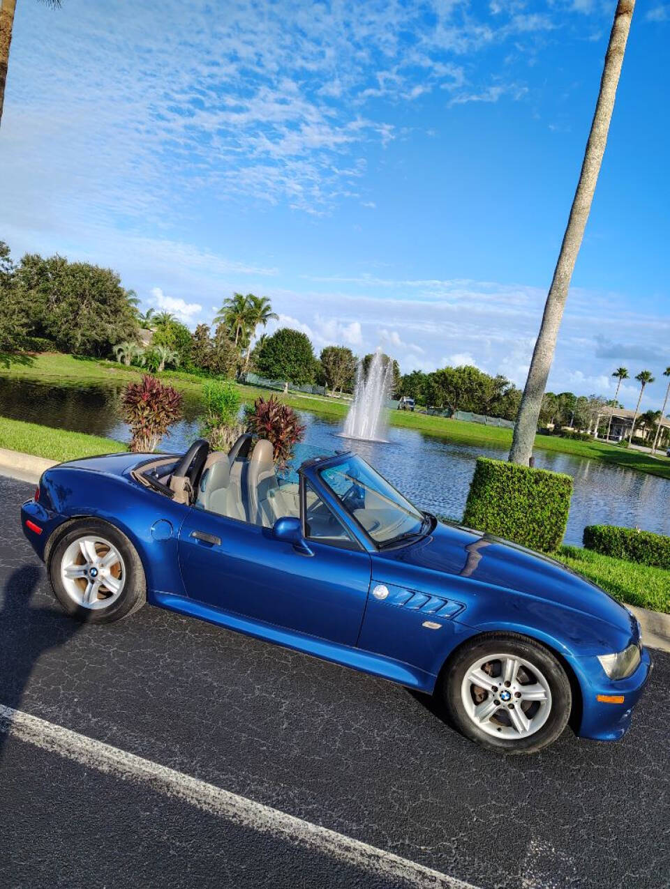 2001 BMW Z3 for sale at Amatrudi Motor Sports in Fort Pierce, FL