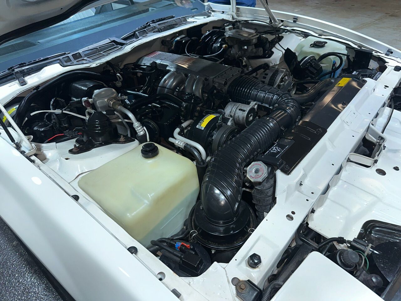 1989 Pontiac Firebird 60