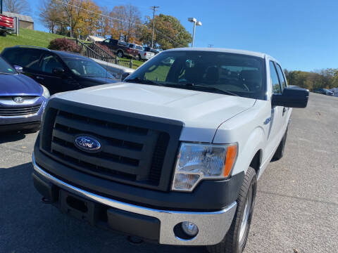 2010 Ford F-150 for sale at Ball Pre-owned Auto in Terra Alta WV