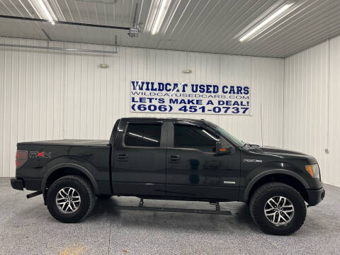 2011 Ford F-150 for sale at Wildcat Used Cars in Somerset KY