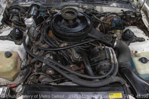 1984 Pontiac Firebird Trans Am