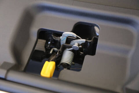 2015 Ford Mustang GT 50 Years Limited Edition