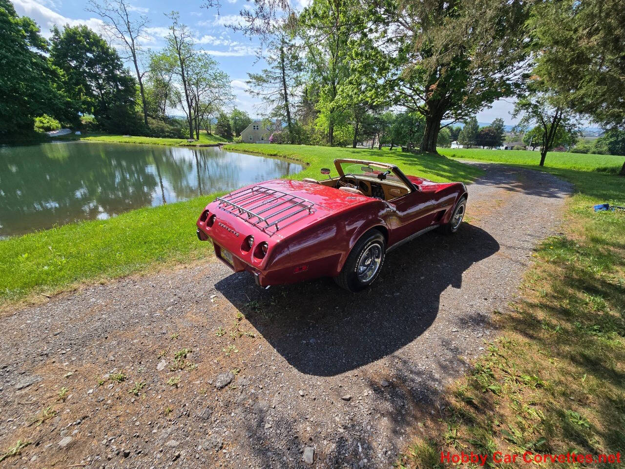 1975 Chevrolet Corvette 50
